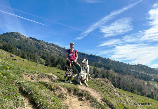 Goldauer Bergsturzspur