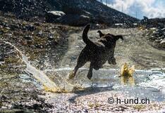 Salta nella felicità ;-)