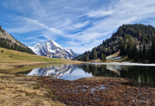 Gräppelensee ab Laui
