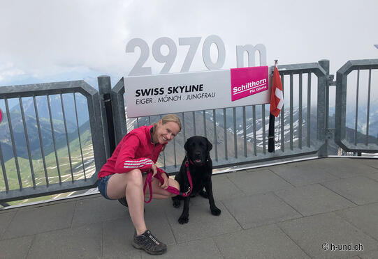 Grütschalp - Mürren