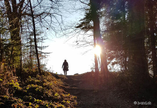 Lake Gruyère - explore comfortably