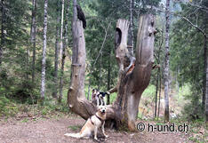 Nemesi sul sentiero dei goblin con Kaya.