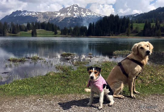 Gstaad-Lauenensee-Lauenenen