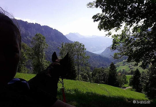 Harder Kulm - Habkern