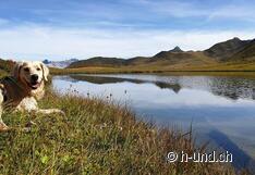 Happy Day am Cluner See