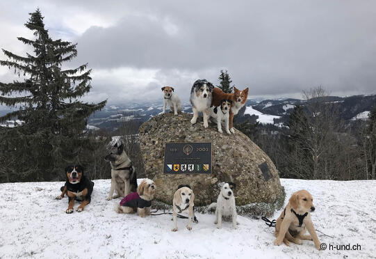 Hörnli in the Töss Valley