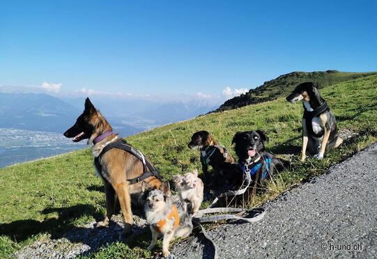 Hoher Kasten - Kamor - Zapfen - Resspass - Chluserenweidli - Brülisau
