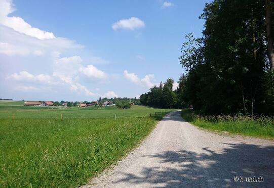 Circuit panoramique de Homburg