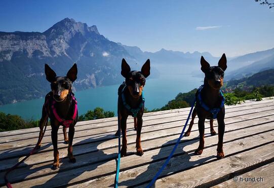 Strada romana di Kerenzerberg