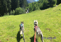 On the way into the cool water