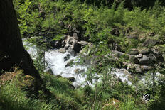 Klosters Schluchtenweg