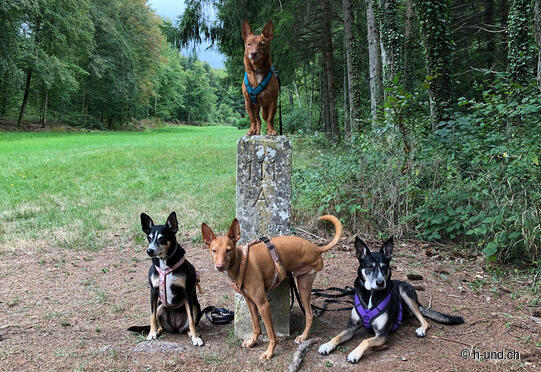 KM 0 - Historical hike