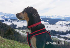 Wonderful view to enjoy.