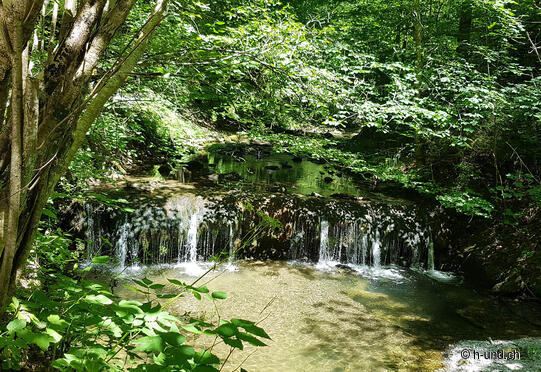 Küsnachter Tobel - Rundweg