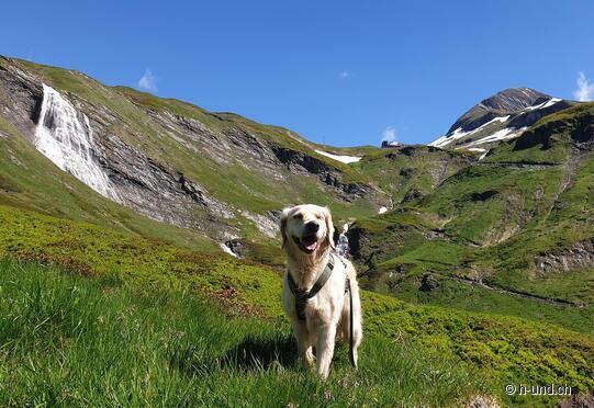 Lac de Luzzone - Refuge Motterascio SAC