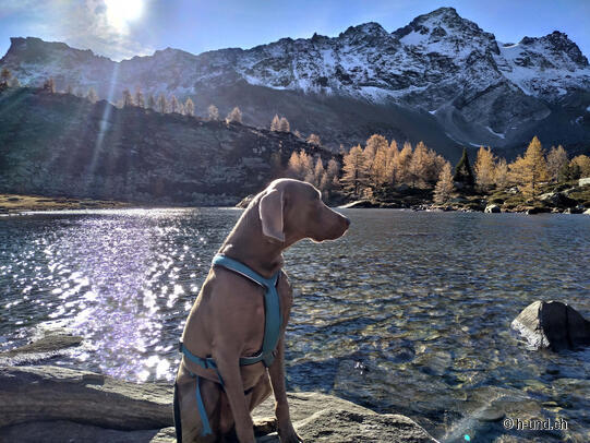Mässersee Rundwanderung
