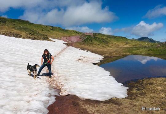 Maschgenkamm - Capanna Spitzmeilen
