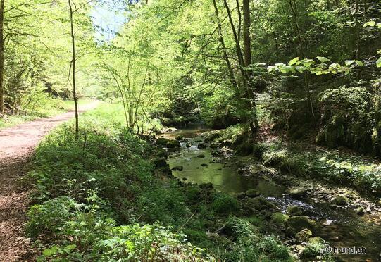 Meltingen/SO a Grellingen/BL