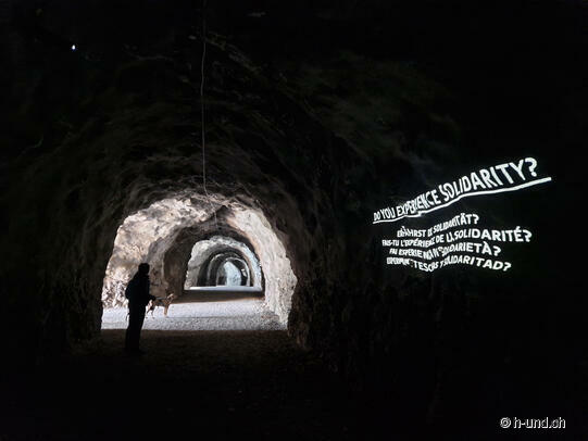 Mit Hund am Urnersee: Von Flüelen nach Bauen und zurück auf dem Weg der Schweiz
