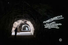 Mit Hund am Urnersee: Von Flüelen nach Bauen und zurück auf dem Weg der Schweiz