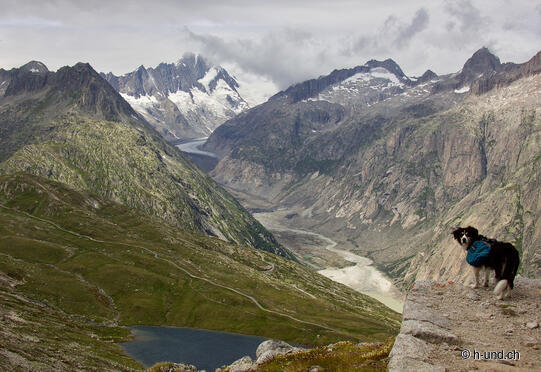 Grimselpass um das Sidelhorn und zurück 