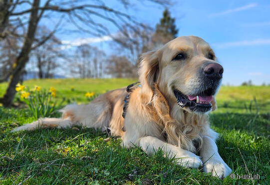 Mont - Soleil à Tramelan