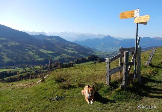 Morgartenberg Rundwanderung