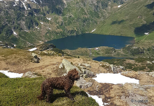 Murgseen ab Maschgenkamm