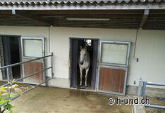 Altri amici animali in arrivo.