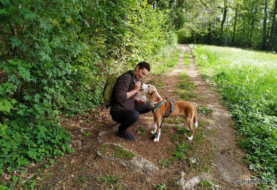 Percorso circolare della Torre di Napoleone