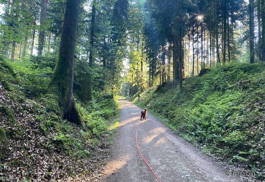 Escursione circolare dell'Oberaargau