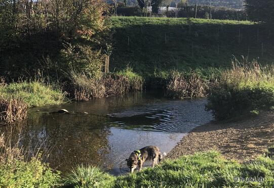 Otelfingen Golfpark vers Würenlos