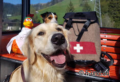 Pieno di aspettative per la bella escursione.