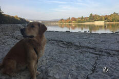 Rheinufer Rundweg, Rheinfelden