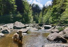 Pausa pranzo al Sihl.
