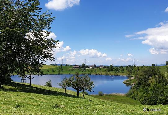 Richterswil-Samstagern-Hütten-Schönenberg