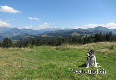 Herrliche Aussicht und perfekter Rastplatz.