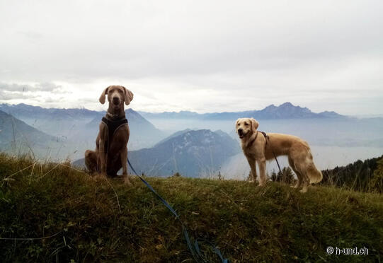 Rigi - Panoramawanderung