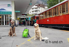 Partenza da Vitznau con la Rigi Bahn AG, un cane amico dei cani