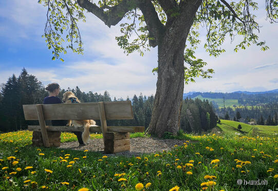Röthenbach i.E. nach Bowil