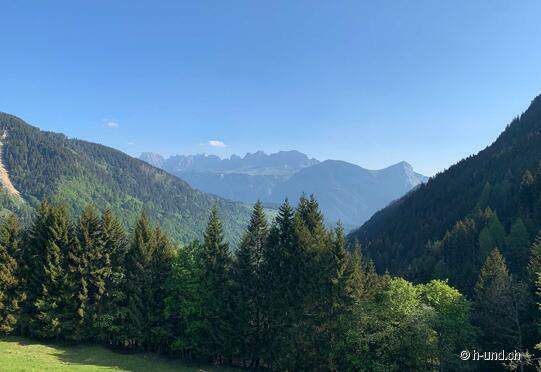 Rütiwald - Untergamidaur - Rütiwald