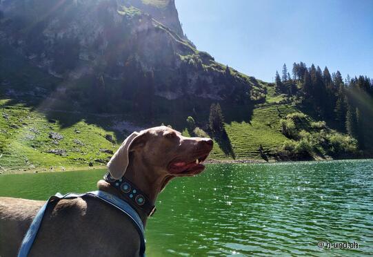 Andata e ritorno Walopsee