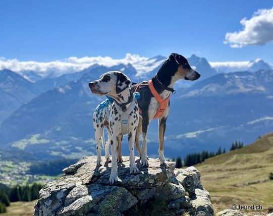 Rundwanderung Käserstatt-Melchtal-Gibel