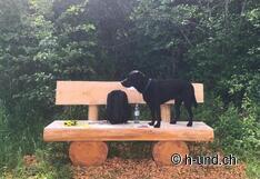 Assez d'endroits douillets pour s'attarder