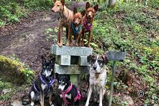 Château de Liebegg - Château de Trostburg - Siebenstein et grottes de grès randonnée circulaire Gränichen