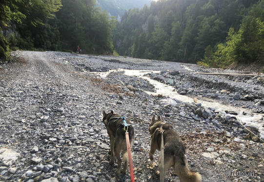 Schraubachtobel von Schiers nach Schuders