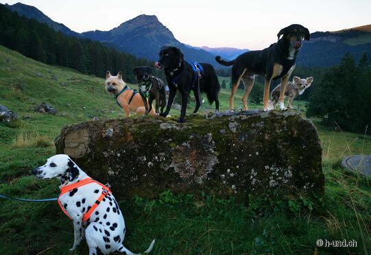 Schwägalp pass 1252m to Nesslau