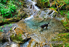 Many great cooling and bathing possibilities.