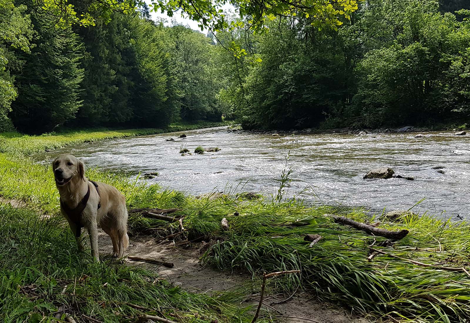 Beste Spielothek in Sihlbrugg Dorf finden Beste Spielothek in Sihlbrugg Dorf finden
