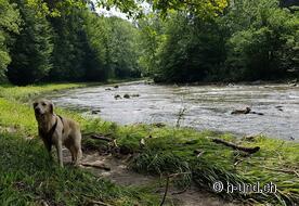 River access practically all along the route.